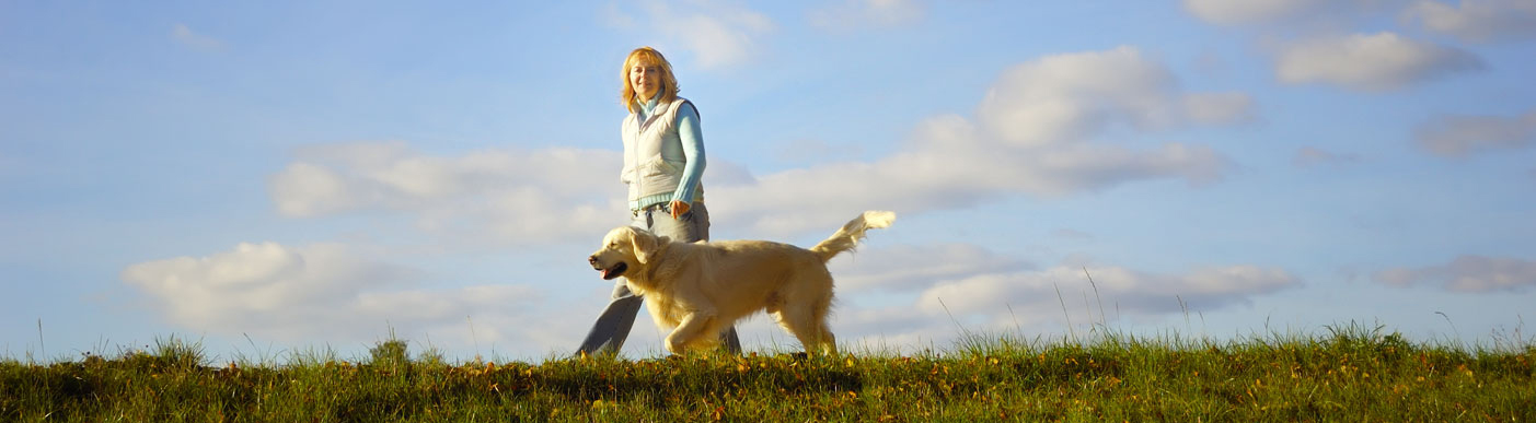 ペット　犬　猫